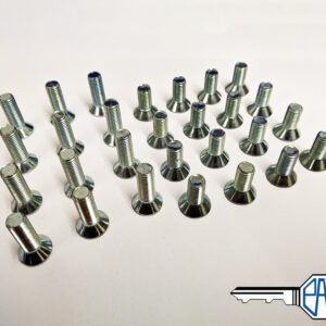 MGB/ MGB GT Door Hinge Screw Set (hinge to door & hinge to body) SF605081/61