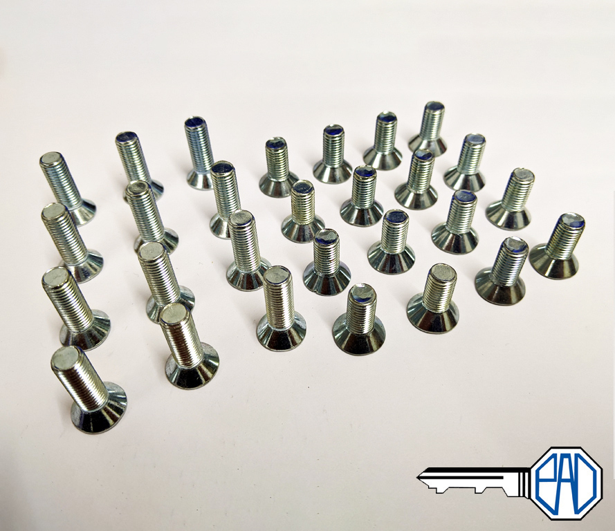 MGB/ MGB GT Door Hinge Screw Set (hinge to door & hinge to body) SF605081/61