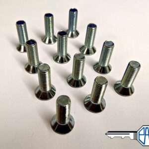 MGB/ MGB GT Door Hinge Screw Set (hinge to door) SF605081